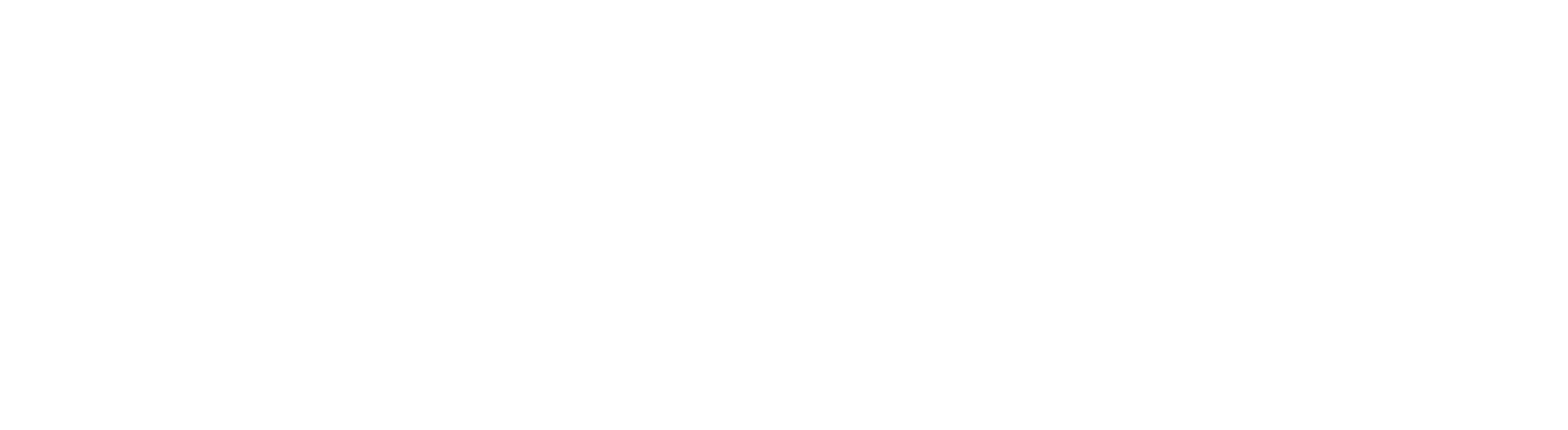 Finnostic